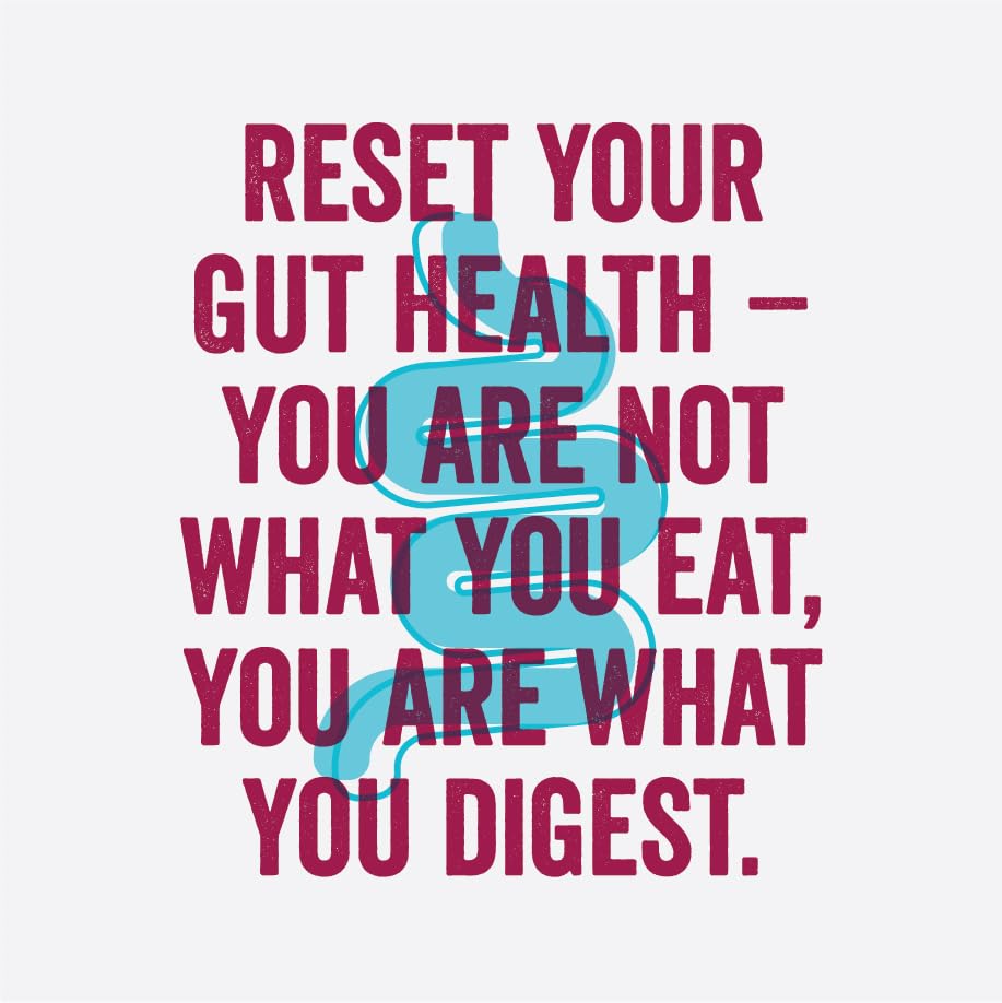 Image of Zoh Probiotics Berry Blast Kombucha | Tea with detoxifying acids, and digestive enzymes. Raw, unfiltered, and unpasteurized with Mother. Made with real berries (330 ml, Pack of 6)