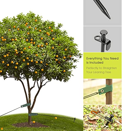 Kit de piquets d'arbre durables en acier avec sangles et cordes premium