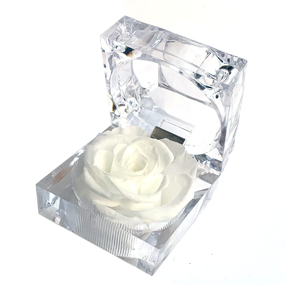Enchanted Real Preserved Forever Roses in Clear Acrylic Ring Box, Fresh-Cut Eternity Flower That Lasts Years, Valentine’s Day, Mother’s Day, for Her (White)