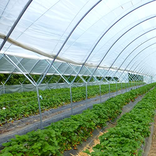 Vuaohiy 2.5 Mil Greenhouse Clear Plastic Film，Uv Resistant Polyethylene Film，Green House Hoop Supply Plant Sheeting Cover For Horticulture,Garden And Agriculture (12Ft X 26Ft) #TOP6