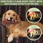 3 in 1 Pack Indestructible Dog Chew Toys for Aggressive Chewers, Long-lasting Tough Nylon Real Bacon Flavor Teething Chew Toys for Large Medium Small Dog Breeds