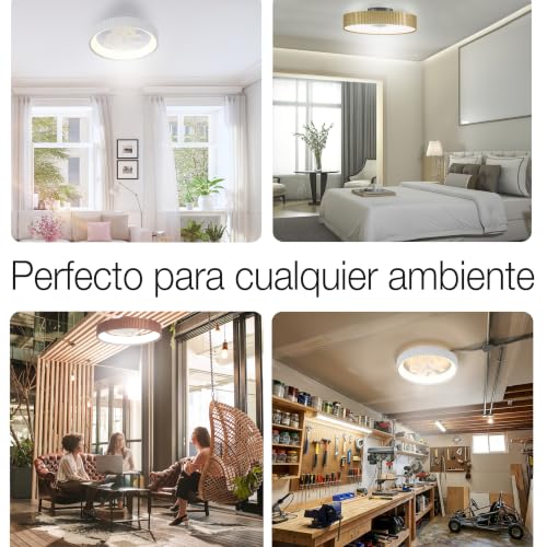 BRISANOVA ARMOR Ventilador de Techo con Luz LED, 7 Aspas, Silencioso, Mando a Distancia, 6 Velocidades y 3 Modos de Luz, Bajo Consumo, Modo Verano/Invierno, Instalación sencilla, Dormitorio/Salón