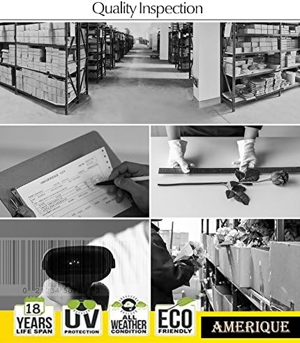 Miniatura 5 de AMERIQUE Único y hermoso gran flor de pájaro del paraíso de 5 pies, tecnología real táctil, con maceta de plástico para guardería, con protección