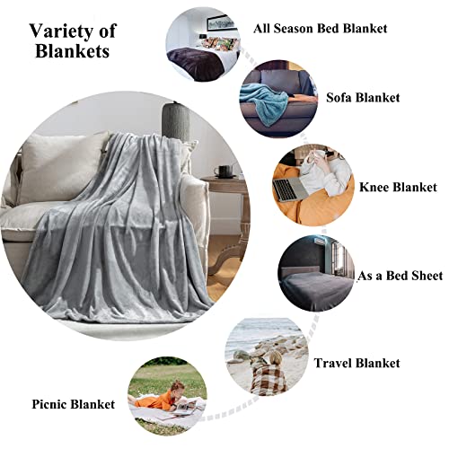 Jiahannha Grey Throw Blankets,Fleece Blanket Throw Size 50"×60",Super Soft Cozy Plush Light Grey Blanket For Couch Sofa Bed,Flannel Lightweight Warm Bed Blankets #TOP2