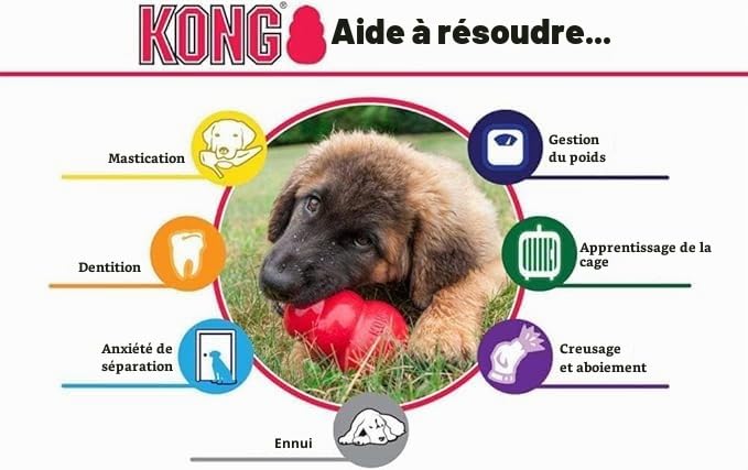 KONG Extreme Lot de 2 pour grands chiens