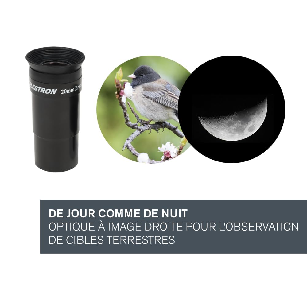Celestron 31045 AstroMaster 130EQ Newtonian Reflector Telescope, Dark Blue