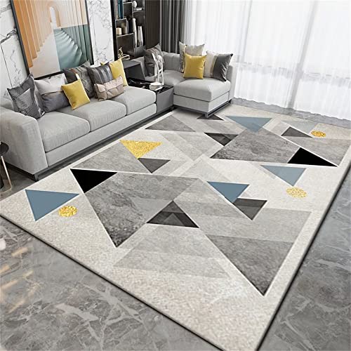Accessoires de Tapis de Salon Simples et Modernes 200X300CM Gris - 2