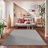 Einfarbig Kurzflor Teppich Wohnzimmer Super Weich größen, Farbe: Hellgrau, Größe: 60 x 100 cm