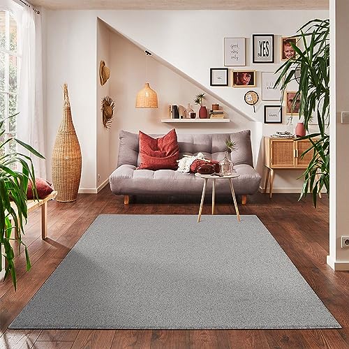 Carpettex Teppich Wohnzimmer Kurzflor Teppich Modern Einfarbig Design 140 x 200 cm Teppich Hellgrau...