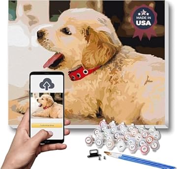 best custom paint by numbers for adults