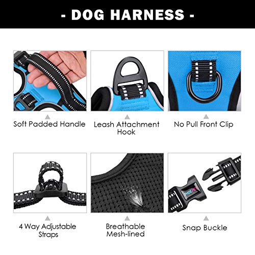 Image of PHOEPET No Pull Dog Harnesses for Small Dogs Reflective Adjustable Front Clip Vest with Handle 2 Metal Rings 3 Buckles [Easy to Put on & Take Off](XS, Blue)