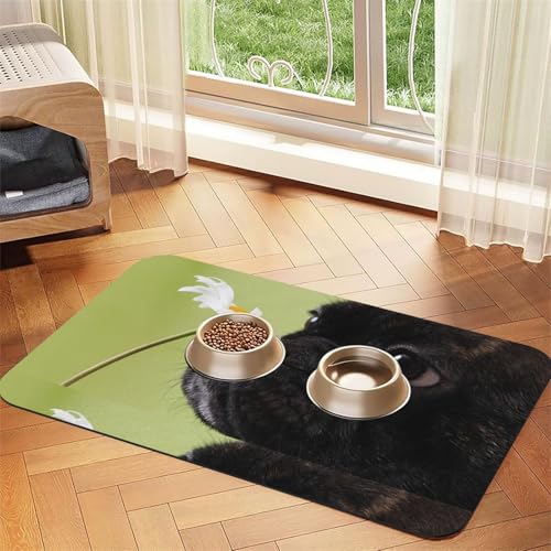 Granatapfelfrucht, schöne Granatapfelkerne, Fruchtmuster,wasserdichte Futtermatte für Haustiere, Tischsets für Katzen und Hunde für Futter und Wasser, Futtermatten aus PU-Leder,40x60cm