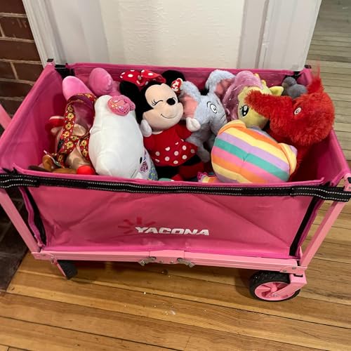 11: Holly's goals and experiences with jobs, disability rights and current events.