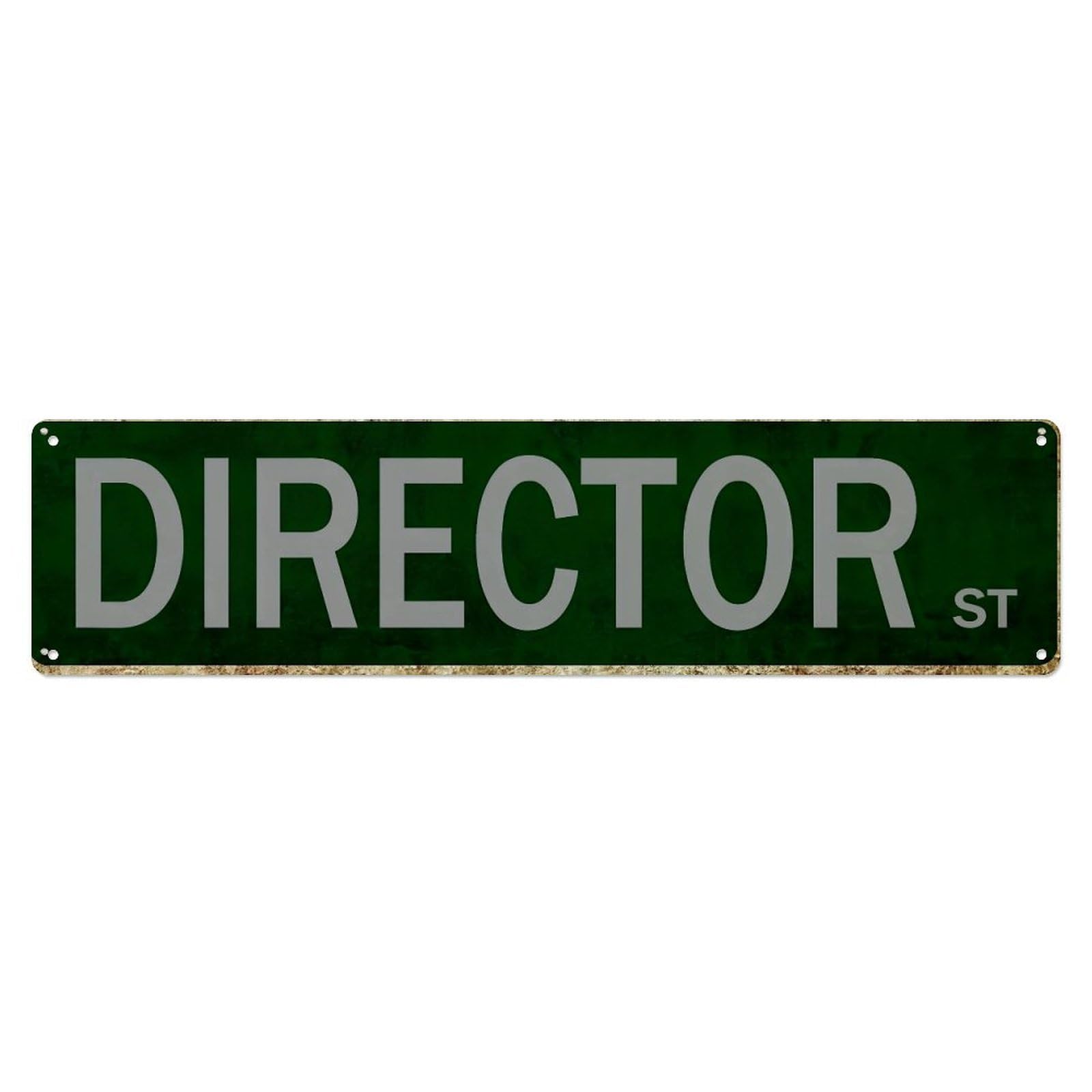 Director Street Sign Pattern Metal Tin Sign Plaque