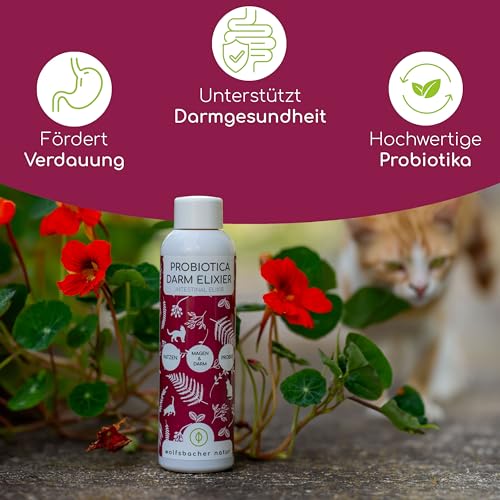 Probiotika Darmkur für Katzen - Unterstützt die Darmgesundheit – 100% Natürlich –Fördert gesunde Verdauung – 150ml