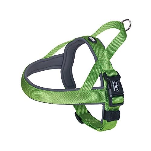 Nobby NORWEGER Geschirr "Classic Preno", 38 - 50 cm+36 cm/20 - 25 mm, neon grün/grau