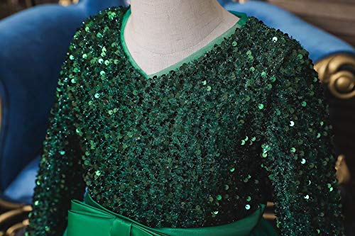 Girls Long Sleeve Royal Palace Lace Dance Princess Gothic Victorian Gowns Fancy Masquerade Dress Up for Party Wedding Pageant4