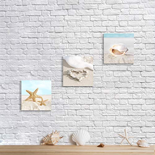Artistic Path Beach Canvas Wall Art Picture: Seashell And Starfish On Soft Sandybeach Painting Artwork For Home Decor (12" W X 12" H X 3 Pcs, Multi-Style) #TOP2