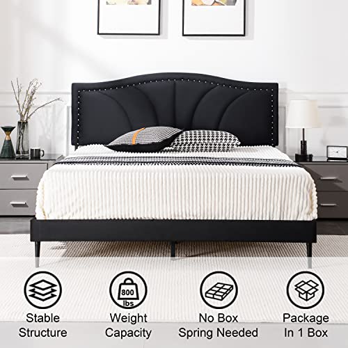 AsKmore-King-Size-Bed-Frame-Velvet-Upholstered-Platform-Bed-with-Decorative-Line-Nailhead-Trim-Headboard-with-Wood-Slat-SupportNo-Box-Spring-NeededEasy-Assembly-Black