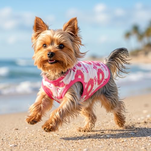 Image of CuteBone Dog Shirts 2-Pack Soft Pet Clothes Breathable Summer Vest for Small Puppy and Stretchy Cat Apparel 2BX25XS