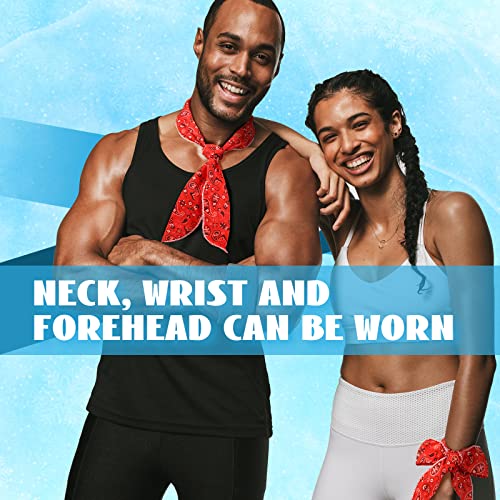 Image of Coume 6 Pack Cooling Neck Wraps