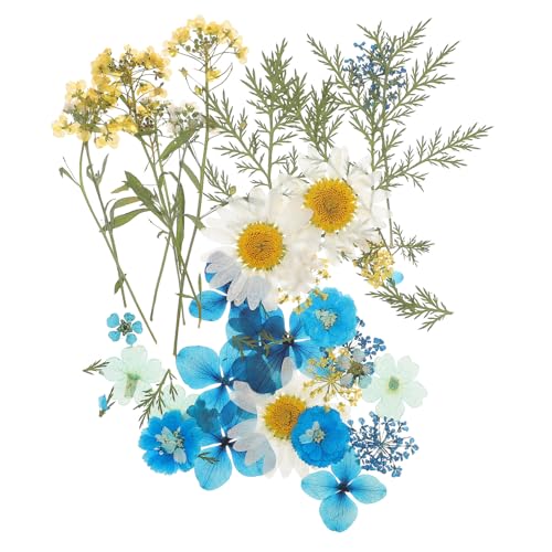 Flores prensadas naturales secas para manualidades miniatura 1