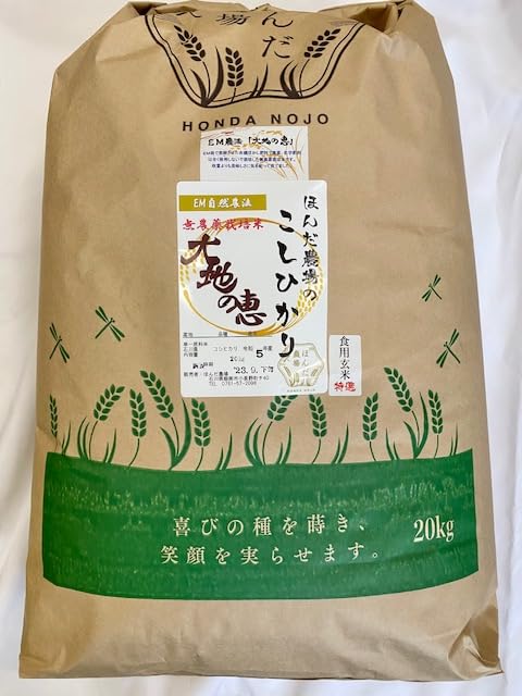 食品 美味しいお米 コシヒカリ 玄米 20キロ 天日干し 無農薬 農家直送