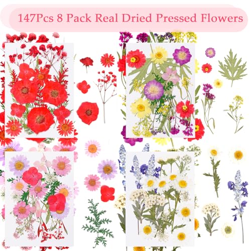 228 piezas de flores secas prensadas con stickers de mariposas para manualidades miniatura 2