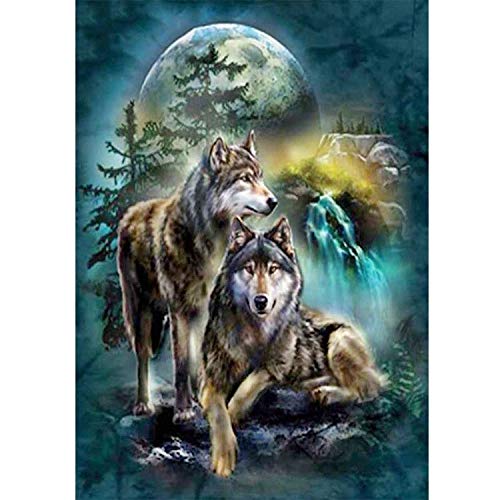Ayjxtz Puzzle 1000 Piezas Pintura Decorativa HD de ensueño con Dos Lobos Puzzle 1000 Piezas paisajes Gran Ocio vacacional, Juegos interactivos familiares50x75cm(20x30inch)