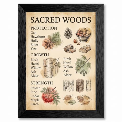 Framed Canvas Wall Art Vintage Sacred Woods Botanical Sepia Parchment Ink Sketch Canvas Print Poster Black Frame Wall Decor for Home Office Grimoire Art, Herbology Decor - Inch 16x20