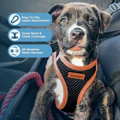 Image of Voyager Step-in Air Dog Harness - All Weather Mesh Step in Vest Harness for Small and Medium Dogs by Best Pet Supplies - Orange Trim, L