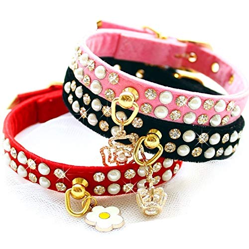 Collier chien perles strass Amore rose pour gâter votre compagnon