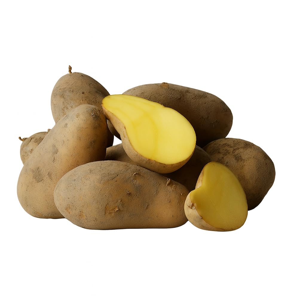 Kartoffeln Nixe mehligkochend 25 kg deutsche Speisekartoffeln 2025