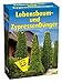Produktbild GP TONER Lebensbaum und Zypressendünger 2,5kg Lebensbaumdünger Dünger Langzeitdünger