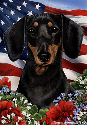 Dachshund B/T Patriotic Garden Flags
