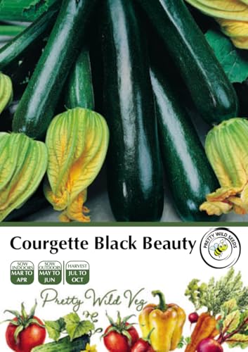 Courgette Black Beauty Seeds in Pictorial Packet - 20 Seeds