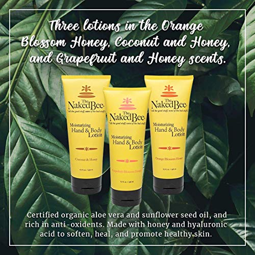 Image of The Naked Bee Orange Blossom Honey, Grapefruit Blossom and Coconut Honey, Hand & Body Lotion (6.7oz) - 3 Pack