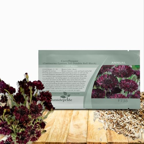 Outsidepride Black Ball Cornflower Seeds for Planting - 1000 Pcs. Annual Bachelor's Button Flower Seeds for Cut Flower Gardens, Drought-Tolerant, Attracts Pollinators, Ideal for Borders & Bouquets