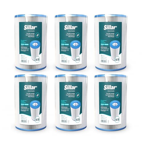 Sillar Lot de 6 cartouches de filtre de piscine de type IV/B, cartouche de rechange pour Bestway 58095 et Intex 29005, filtre de piscine pour pompe de...