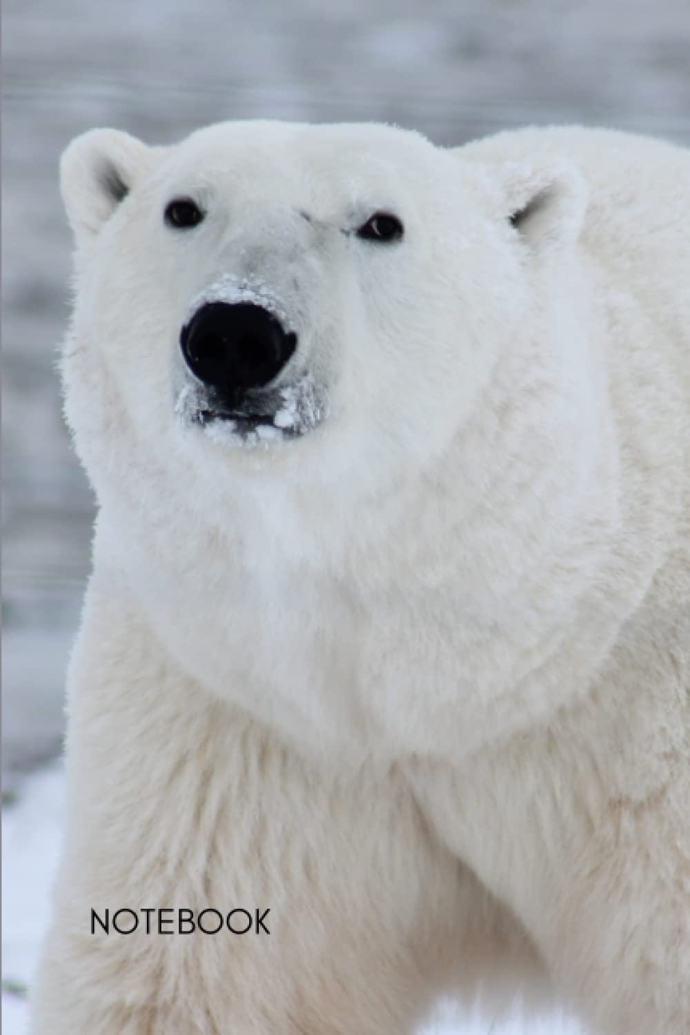 Polar Bear Notebook: The Perfect Gift for Anyone who Loves Polar Bears