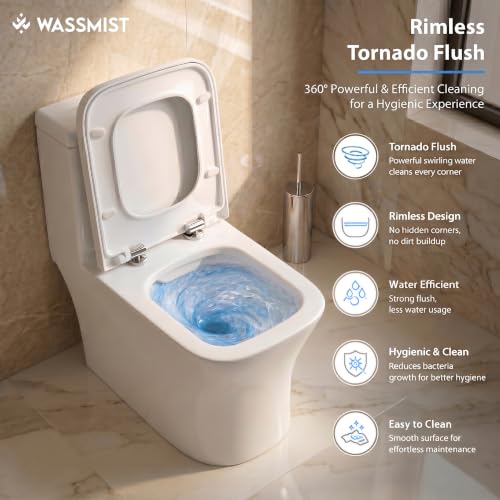 Image of WASSMIST Commode Toilet | Floor Mount One Piece Western Toilet for Bathroom with 10 Year Glaze Warranty | Rimless Tornado Washdown Flush | PP Slow Down Seat Cover | 225 mm S Trap