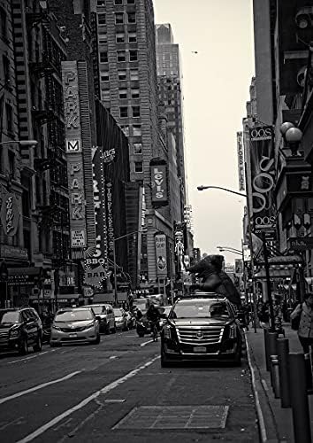 Amazon インテリアポスター アメリカン ニューヨークの景色 モノクローム New York View A3サイズ 297 4mm As4 アートワーク ポスター オンライン通販