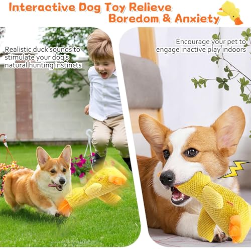 Hshenjhu Kleine Gelbe Ente Hundespielzeug, Unzerstörbares Dog Spielzeug, Hundespielzeug Quietschend, Indestructible Dog Chew Toy, Dog Toys für Breeds, kleine, mittlere, große Hunde