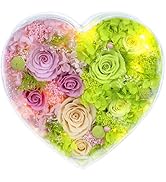 Valley of Rain &amp; Forest Long-Lasting Real Flowers, "Sweet" Preserved Floral Gift With Lights For ...