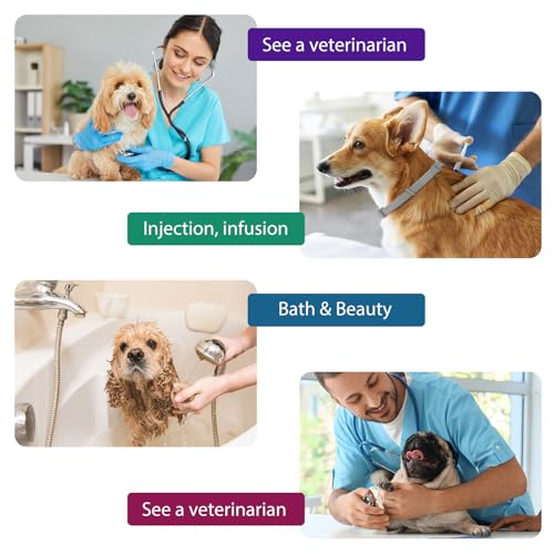 4 Pack Hunde Beruhigendes Halsband - Angstlinderung mit 60 Tagen für Hunde, verstellbarer Komfort für Stress, Trennung, Lärm & Tierarztbesuche, für Welpen bis ältere Hunde (grau)