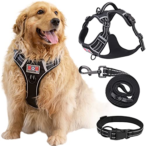 Rywell Haustier Hundegeschirr FXL Cover