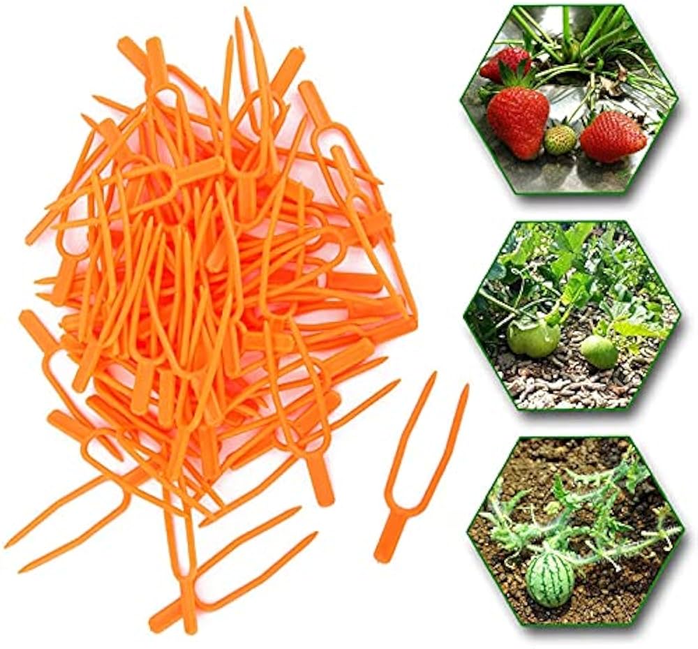 51K0ngisTqS._AC_UF1000, 51K0ngisTqS._AC_UF1000,