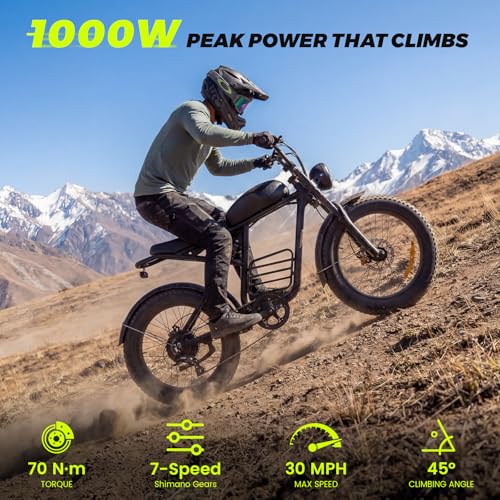 Electric Bike for Adults, 1000W/1500W/3000W Dirt Bike,