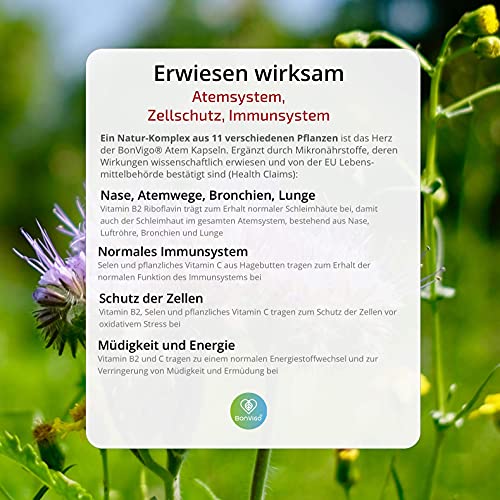 BonVigo® MenthaVigo Lungenkraut Plus 60 Kapseln 11 Pflanzen mit