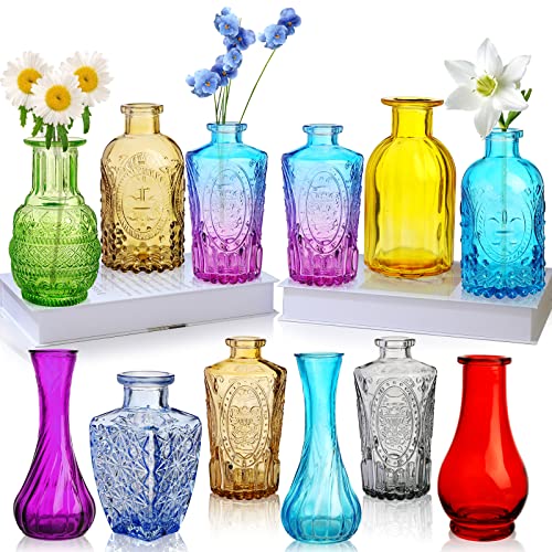 Set di 12 vasi in vetro colorato, piccoli vasi vintage per boccioli, mini vaso decorativo vintage per centrotavola, ufficio, giardino, casa, festa di nozze